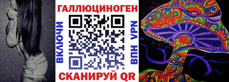 где купить   Урюпинск  Галлюциногенные грибы прущие грибы 