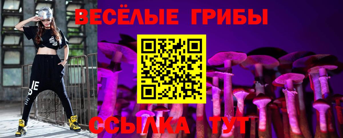 Галлюциногенные грибы Cubensis  Вход с VPN  Галлюциногенные грибы GOLDEN TEACHER  Урюпинск 